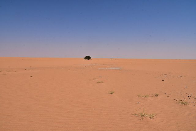 Representative photo of attractions in Saudi Arabia, not Alfuraih Majles