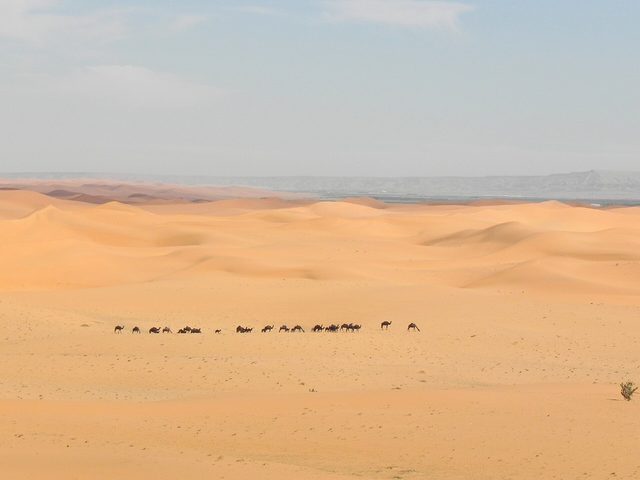 Representative photo of desert & dunes in Saudi Arabia, not Al Amghar