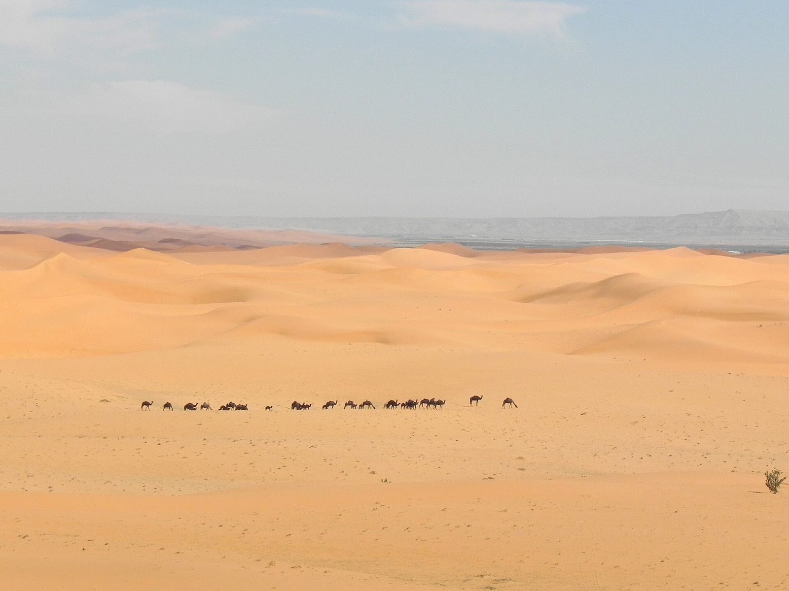 Representative photo of desert & dunes in Saudi Arabia, not Al Amghar