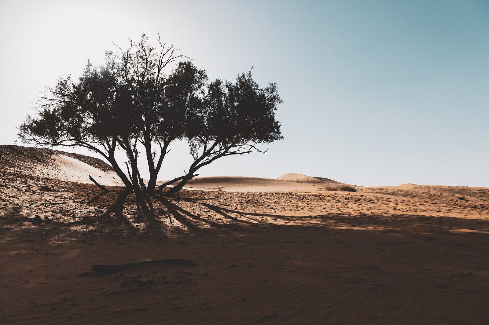 Representative photo of viewpoints in Saudi Arabia, not Hamalida Stairs