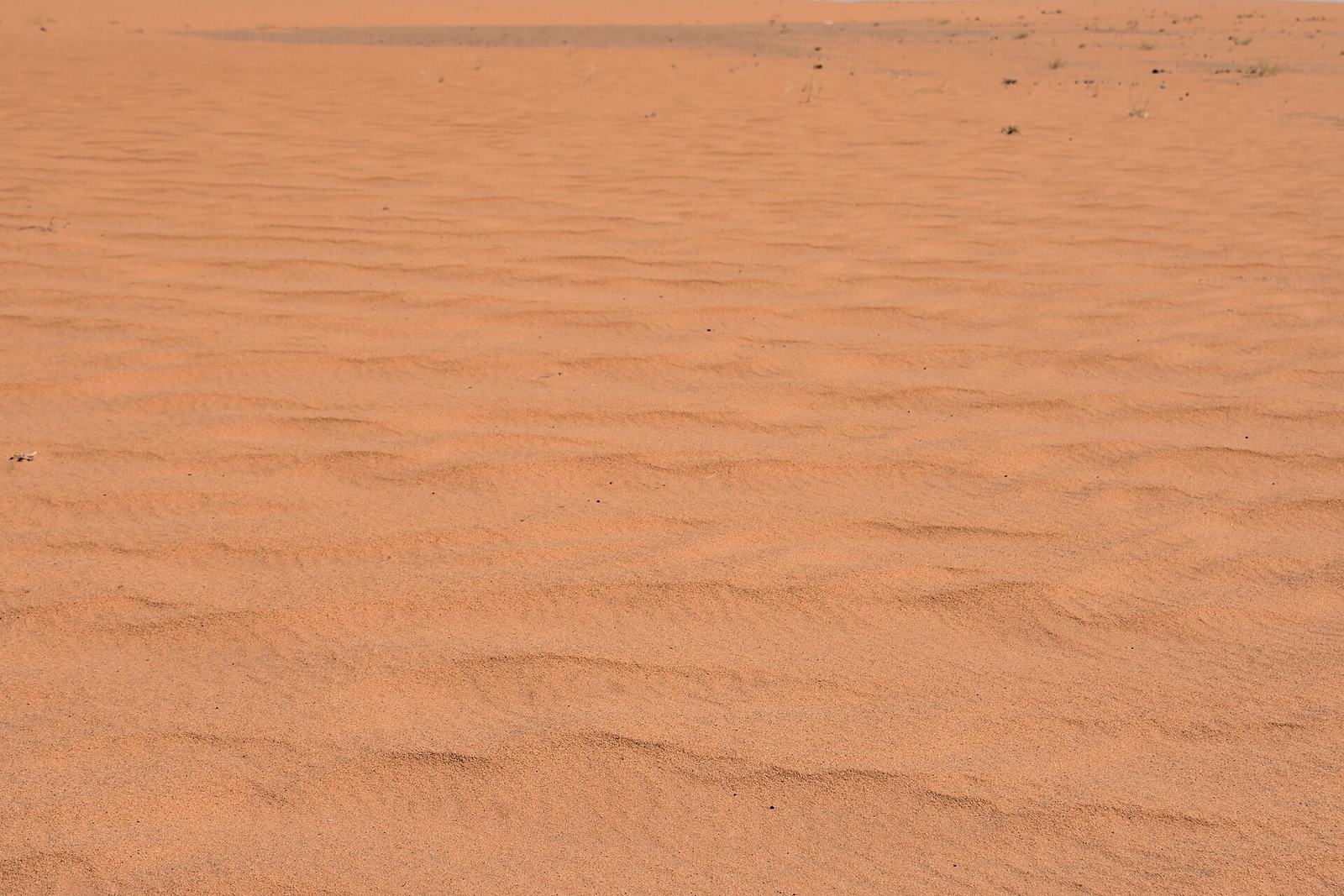 Representative photo of viewpoints in Saudi Arabia, not Al Manjour Trail