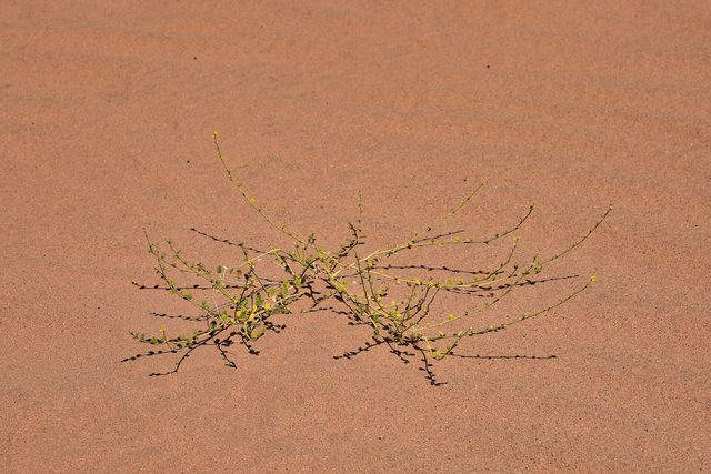 Representative photo of viewpoints in Saudi Arabia, not view point to Al Qufayl mountains