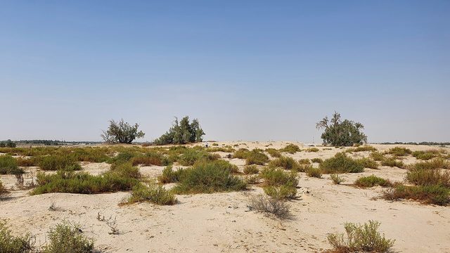 Ain Qannas