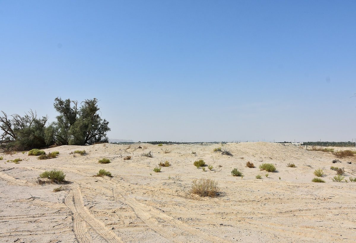 Ain Qannas — Ayn Qannas Neolithic Site, ca. 7000 BCE and after, al-Ahsa (10) (50620705822).jpg