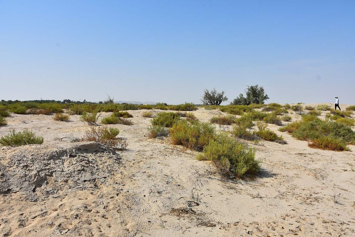 Ain Qannas — Ayn Qannas Neolithic Site, ca. 7000 BCE and after, al-Ahsa (11) (50620704952).jpg
