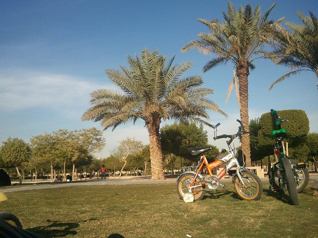 Al Roudah Gardens