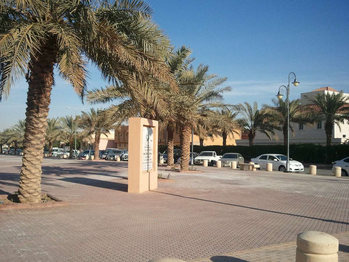 Al Roudah Gardens — حديقة الروضة 12-2011 - panoramio.jpg