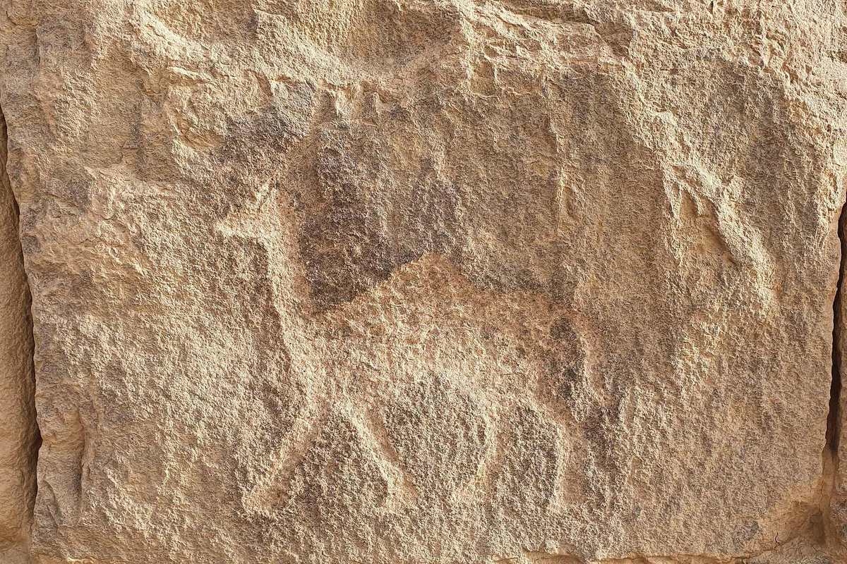 AlUkhdud Archaeological Site — Site of al-Ukhdud, Najran (12).jpg