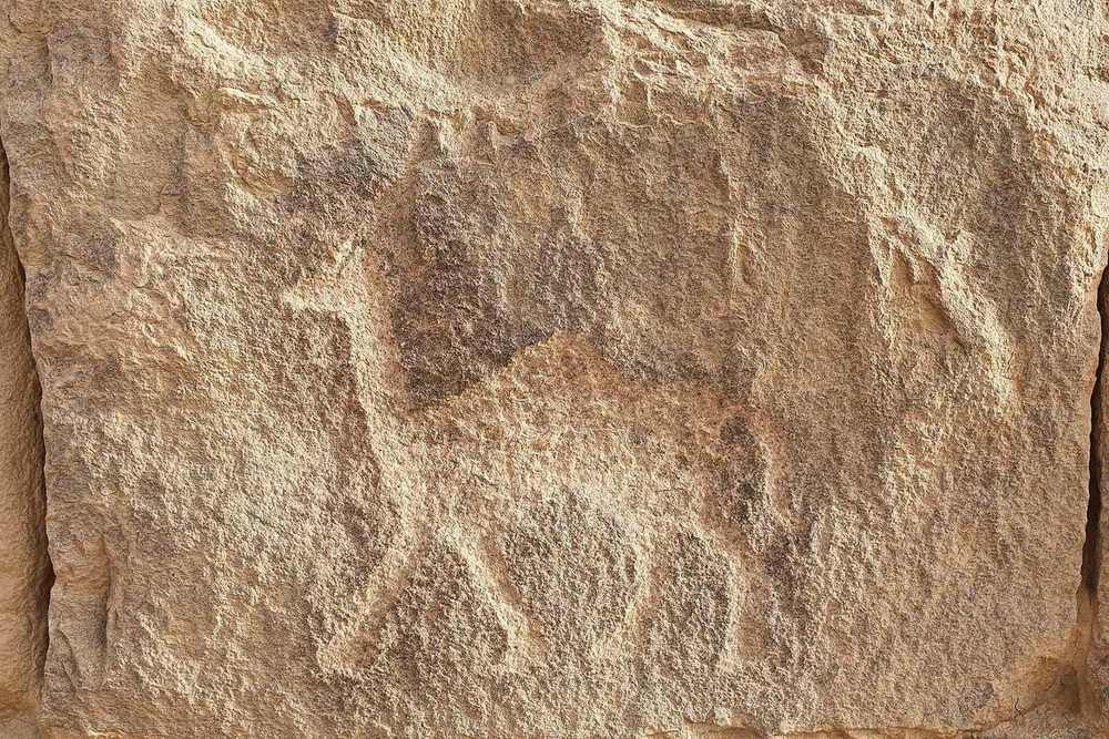 AlUkhdud Archaeological Site — Site of al-Ukhdud, Najran (12).jpg