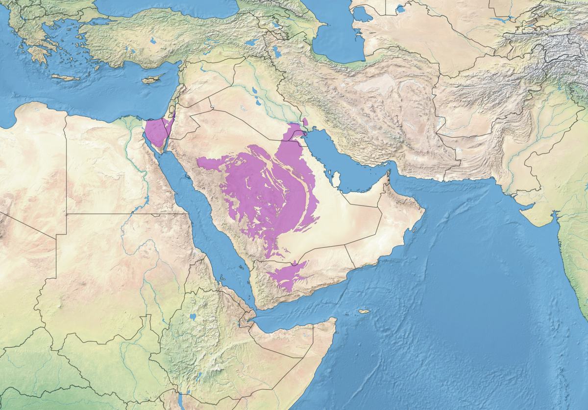Arabian Desert — Arabian Desert Ecoregion.png