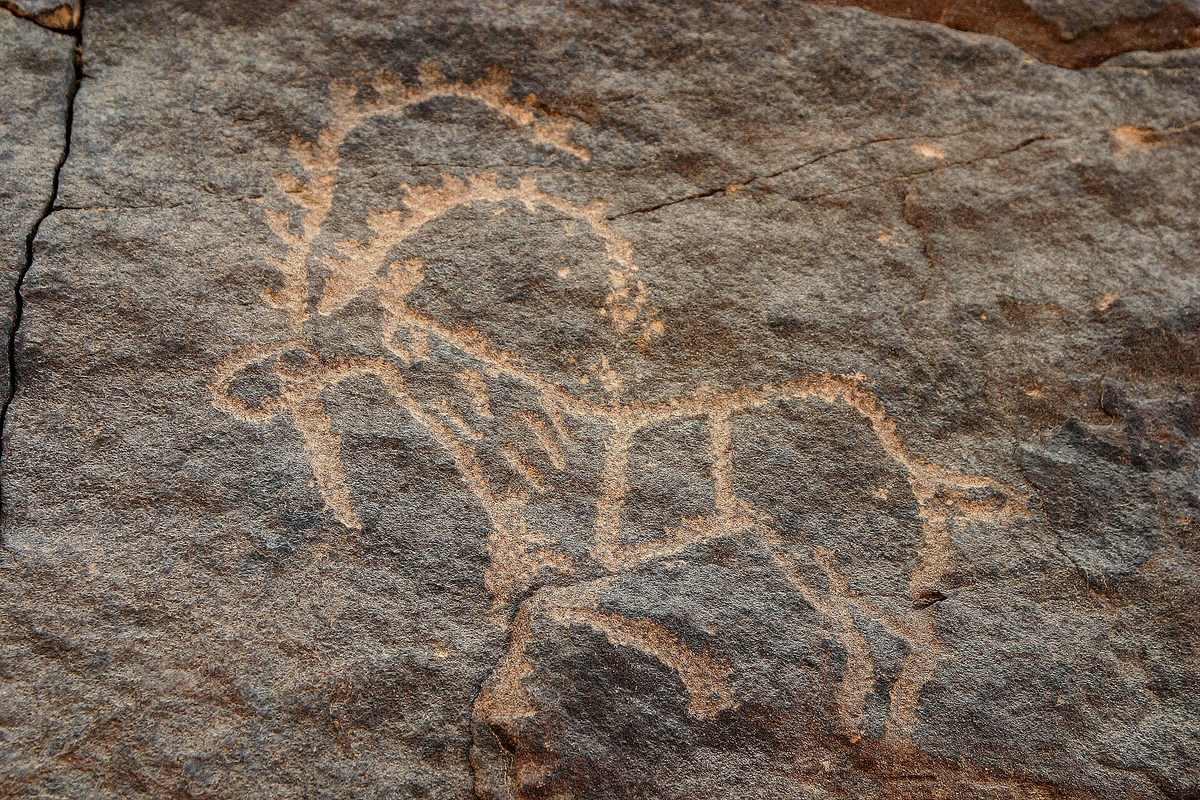 Bir Hima Rock Petroglyphs and Inscriptions — Petroglyph at Bir Hima in Saudi Arabia.jpg