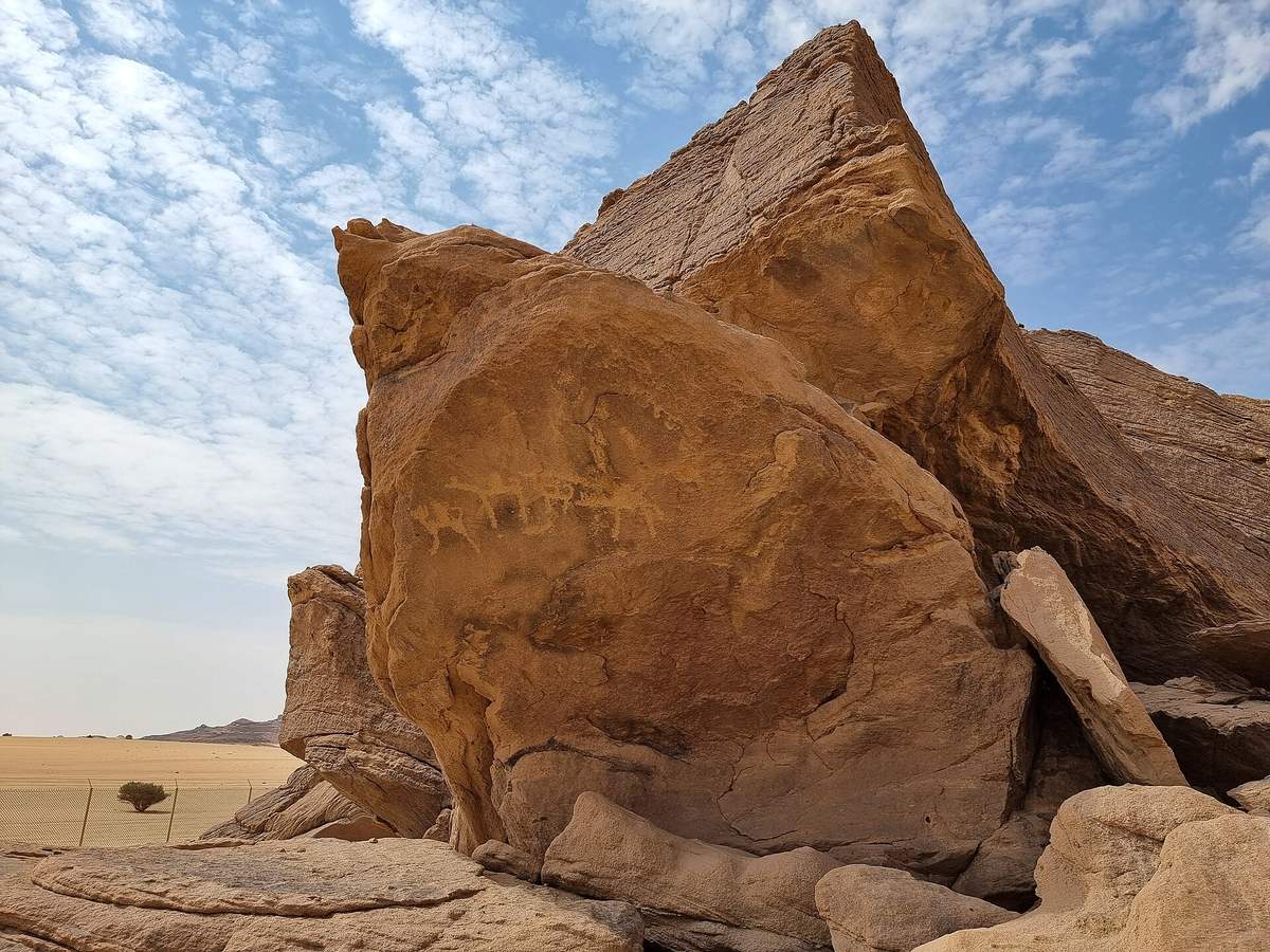 Bir Hima Rock Petroglyphs and Inscriptions — Ancient petroglyphs at Hima Cultural Area, near Najran, Saudi Arabia (10).jpg
