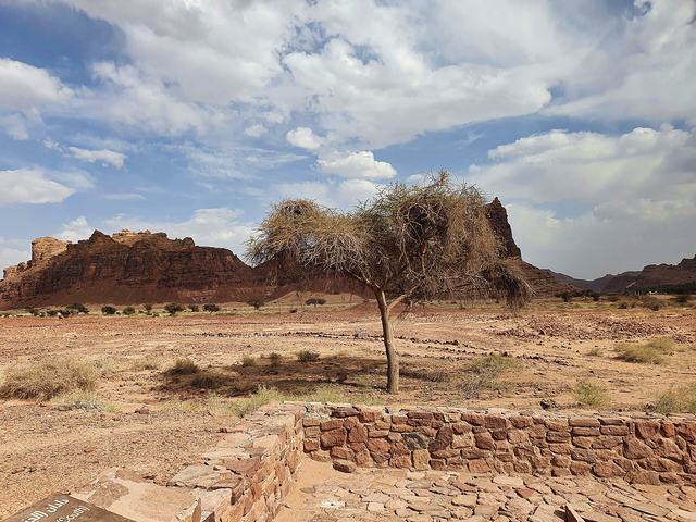 Dadan viewpoint
