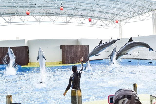 Fakieh Aquarium