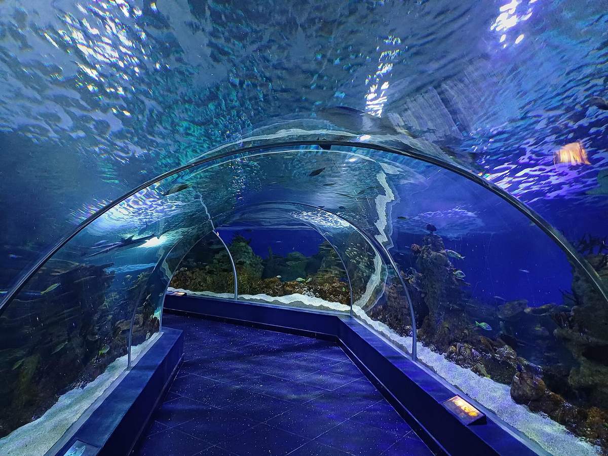 Fakieh Aquarium — Fakieh Aquarium (3).jpg