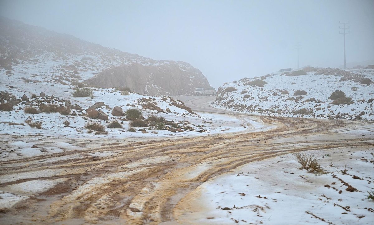 Jabal al Lawz — طريق حول جبل اللوز بين الثلوج بمنطقة تبوك.jpg