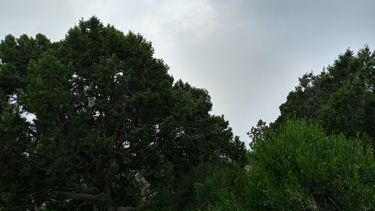 Jabal Sawda — Al Souda Hill top 02.jpg