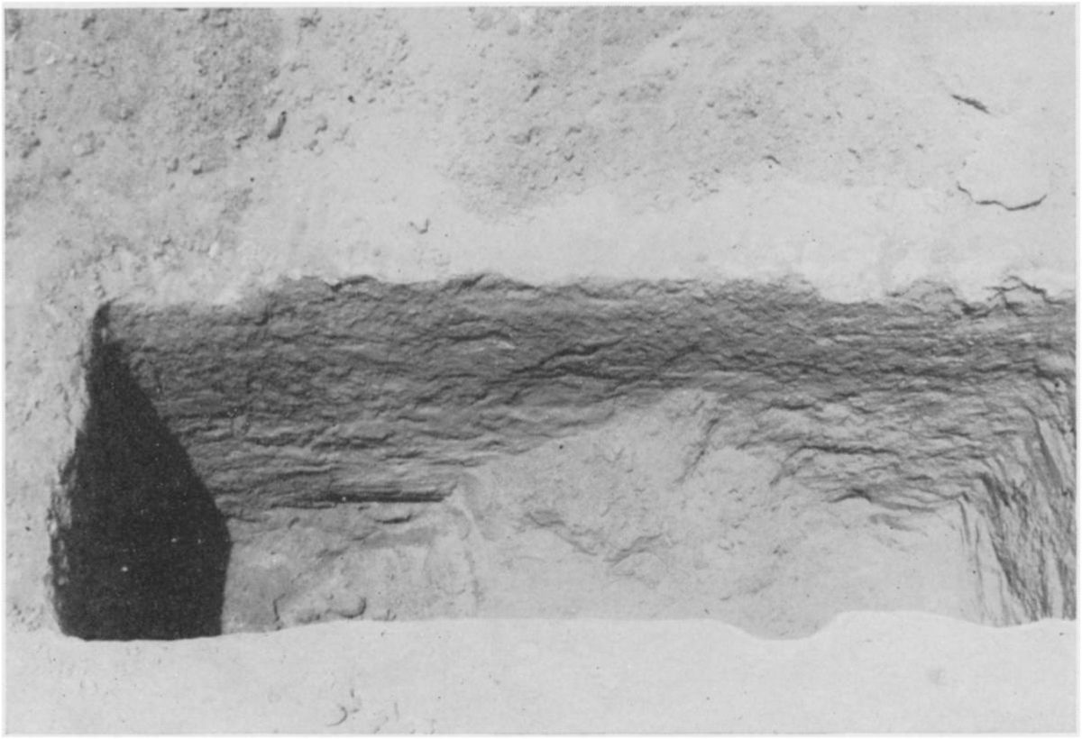 Jawan — Covered Slit Cist at Ain Jawan.jpg