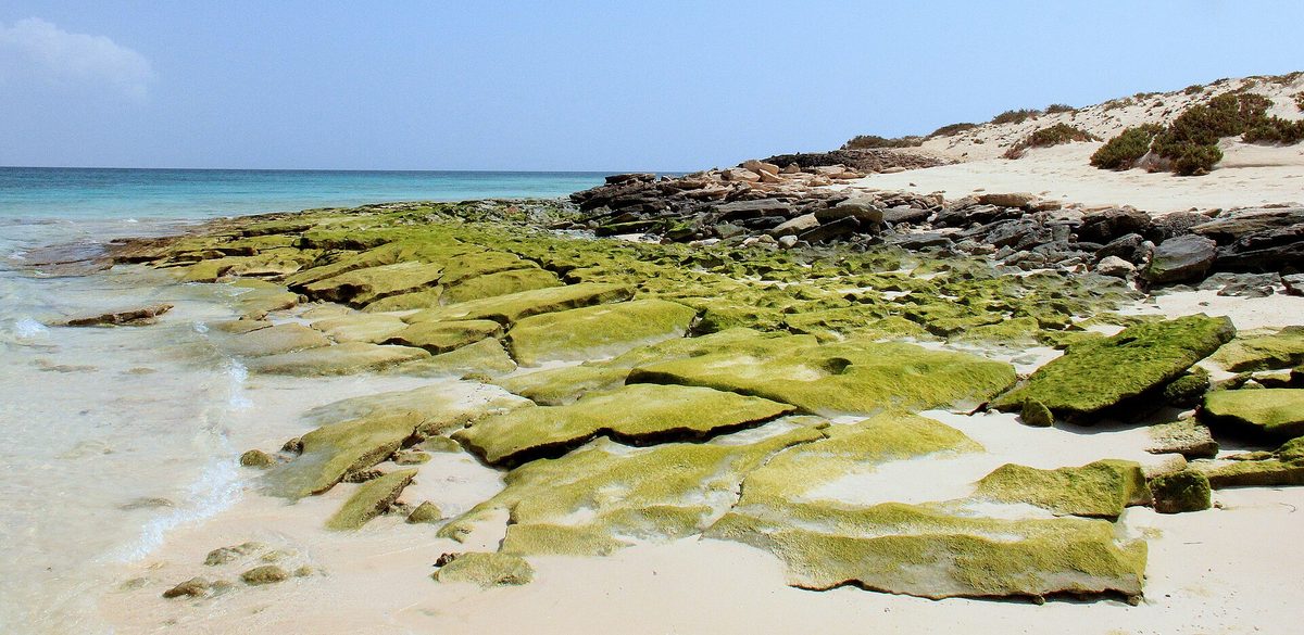 Jazīrat Dumsuq — Dumsok Island جزيرة دمسك - panoramio.jpg