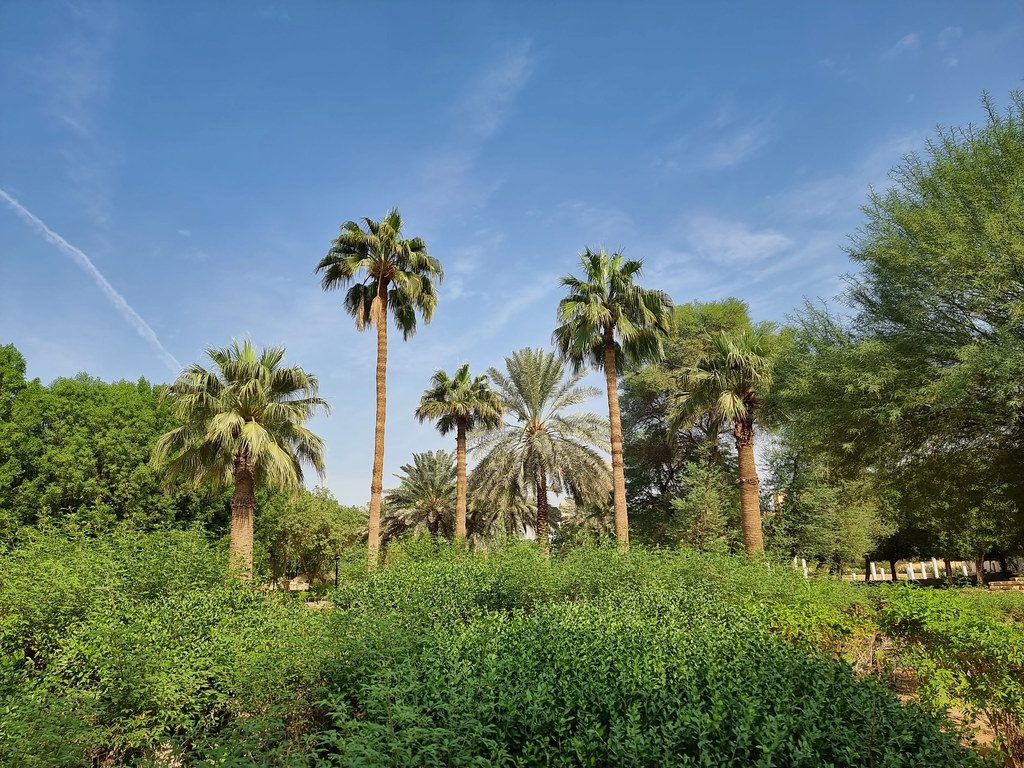 King Abdulaziz Garden — Garden, King Abdulaziz Historical Cener, Riyadh (6)