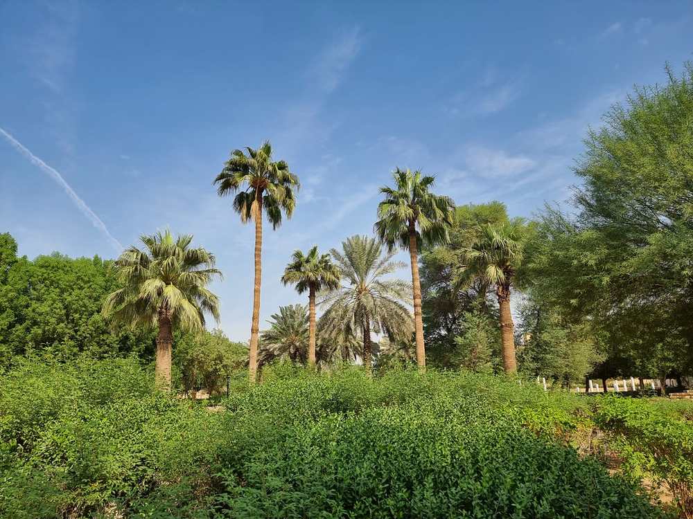 King Abdulaziz Garden — Garden, King Abdulaziz Historical Cener, Riyadh (6)