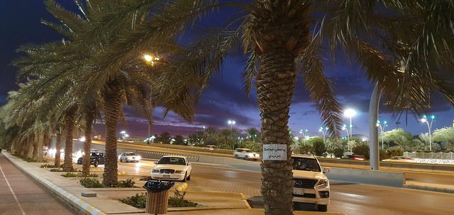 King Khalid Park