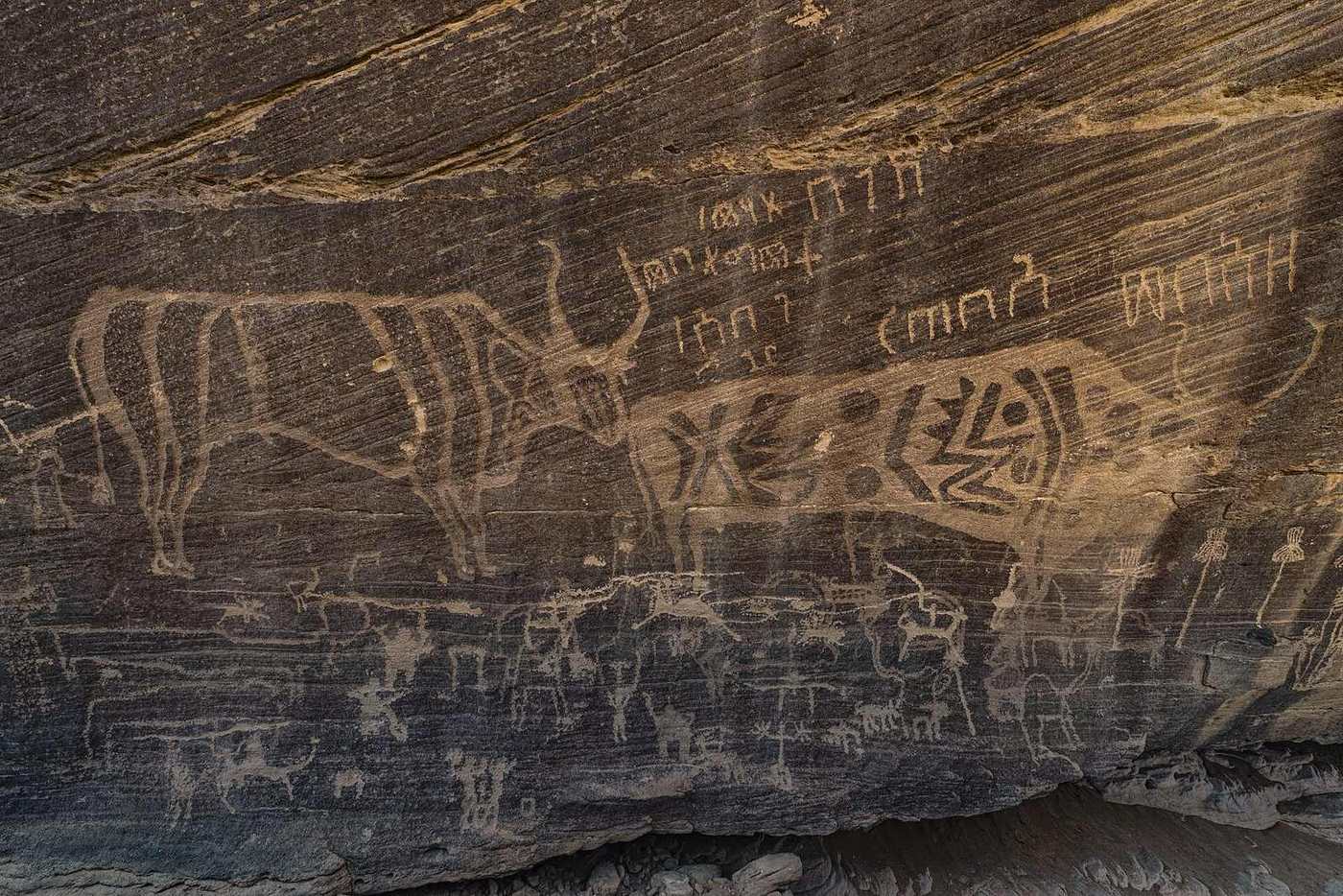 Minshaf — Inscriptions of Minshaf6.jpg