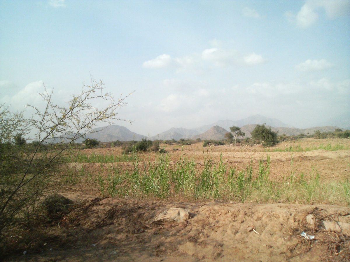 North Corniche — Jazan - al-harth.jpg
