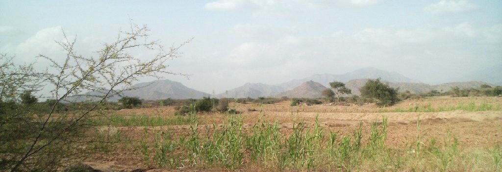 North Corniche — Jazan - al-harth1.png