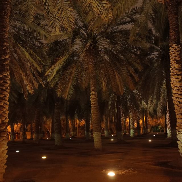 Oasis Park