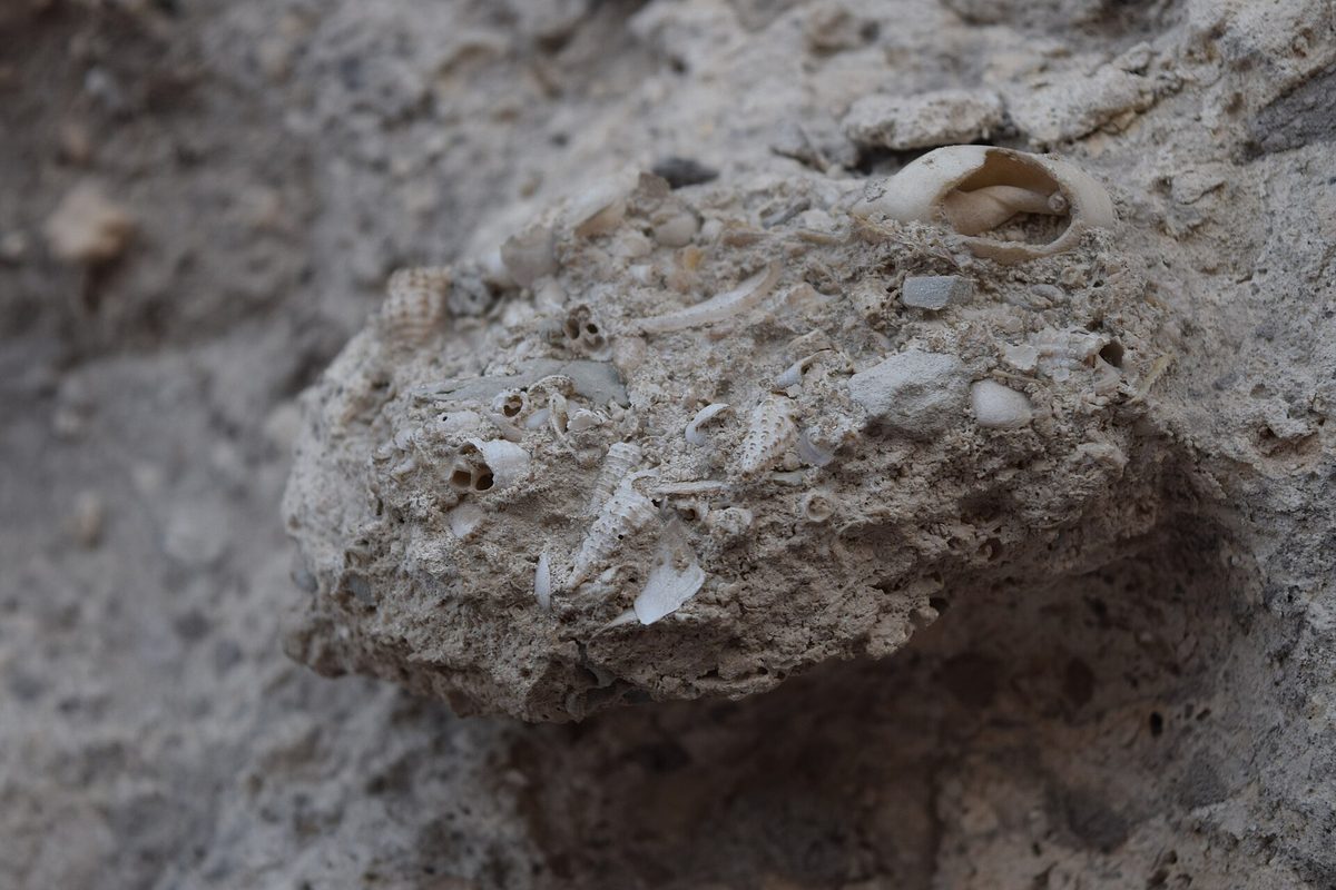 Qatif Castle — صخر-بحري-قلعة-القطيف.jpg