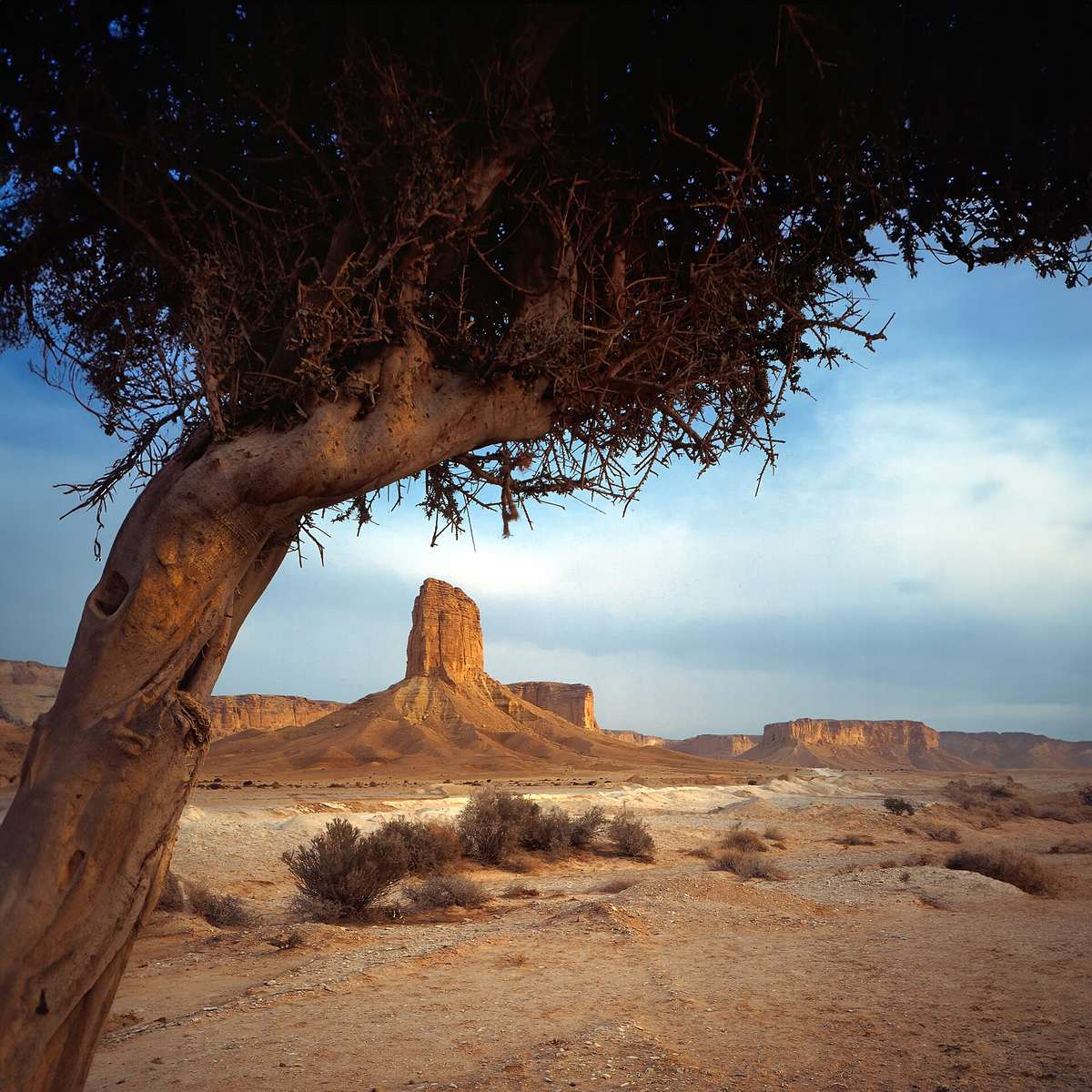 Red sand — Red Sands - A Typical Saudi Landscape.jpg