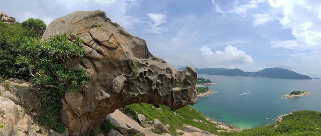 Rhino rock