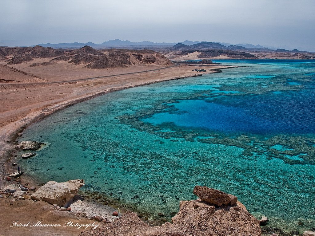 Sand Island — حقل