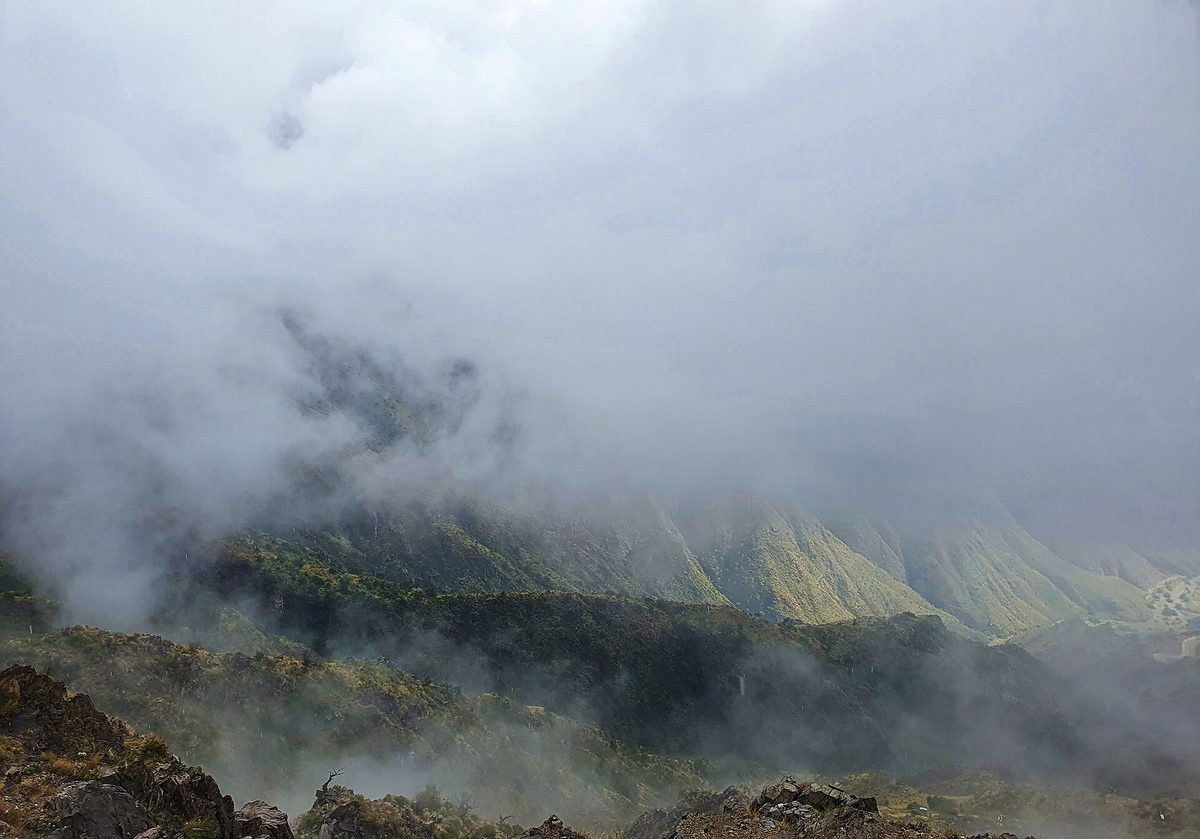Sarawat Mountains — Sarawat Mountains, Asir Region, Saudi Arabia (2).jpg