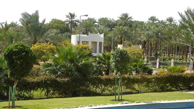 Suwaidi Park