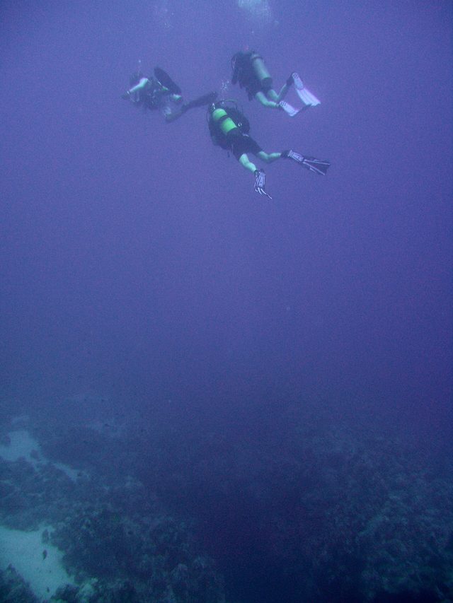 Thomas reef