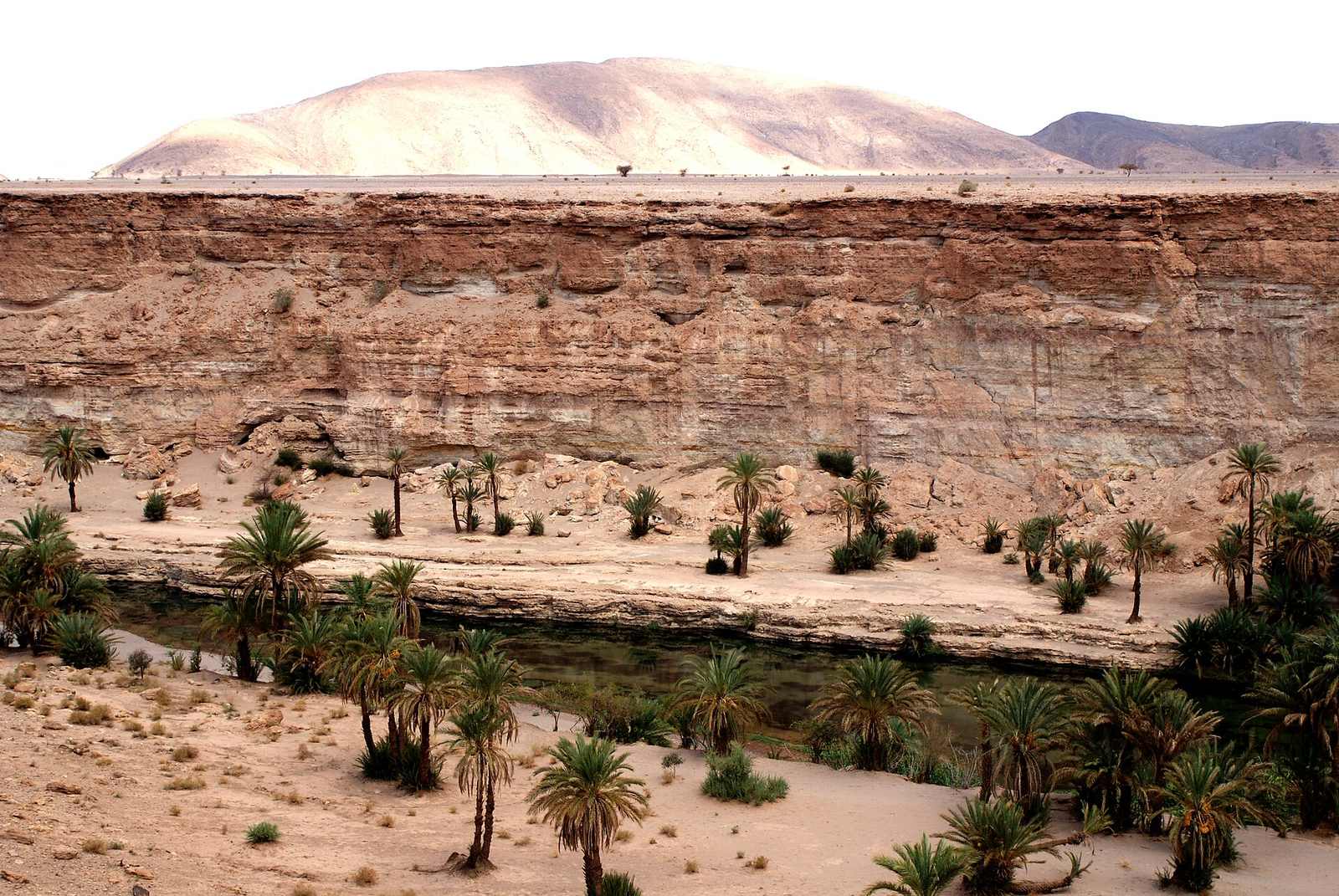 Wadi Al Jawah — Oued Tissint.jpg