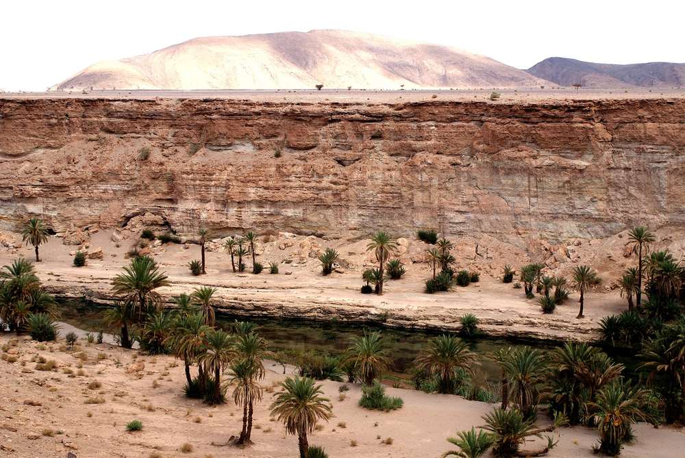 Wadi Al Jawah — Oued Tissint.jpg