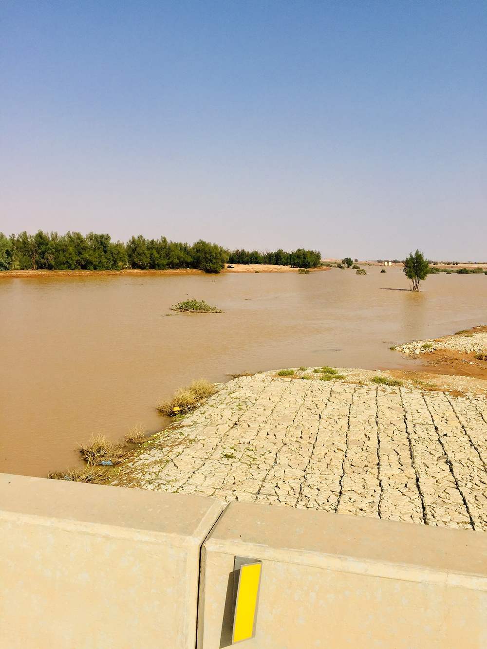Wadi al-Rummah — Wadi al-Rummah Al Badayea Nov 2018 -4.jpeg