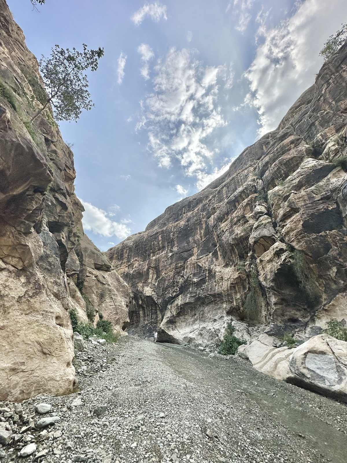 Wadi Lajab — The canyon of Wadi Lajab, Saudi Arabia IMG 1888.jpg
